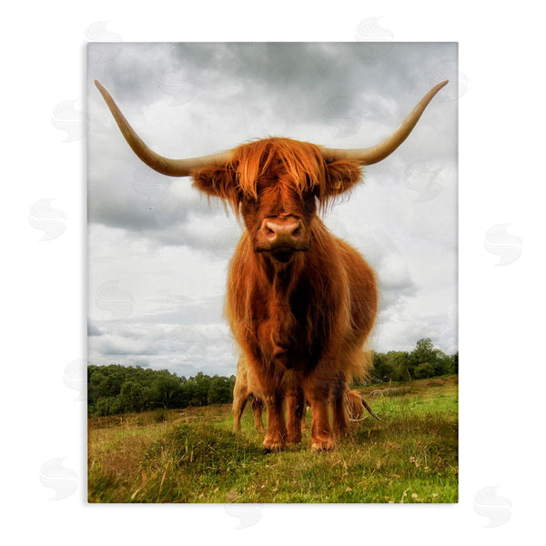 stupell industries James Dobson | Highland Cattle Long Horns Grazing Farm Ranch Wall Art