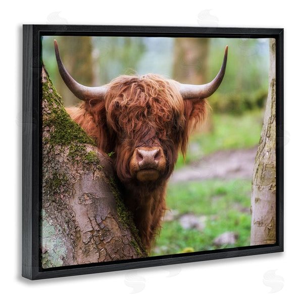 Stupell Industries James Dobson | Highland Cattle Peering Between Trees Lush Nature Scene Wall Art