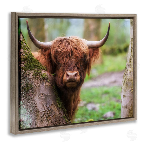Stupell Industries James Dobson | Highland Cattle Peering Between Trees Lush Nature Scene Wall Art