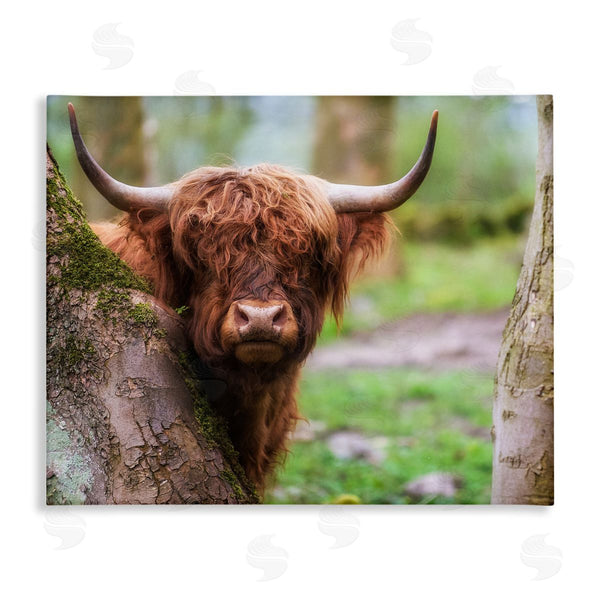 stupell industries James Dobson | Highland Cattle Peering Between Trees Lush Nature Scene Wall Art