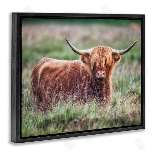 Stupell Industries James Dobson | Highland Longhorn Cattle Grazing Rural Countryside Grassland Wall Art
