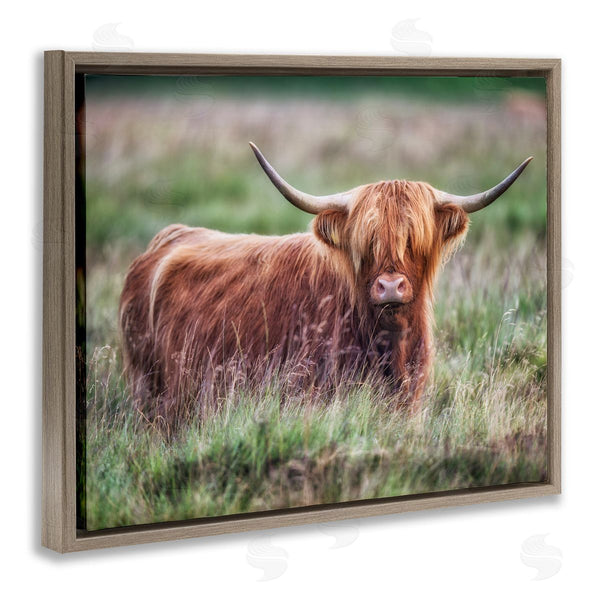 Stupell Industries James Dobson | Highland Longhorn Cattle Grazing Rural Countryside Grassland Wall Art