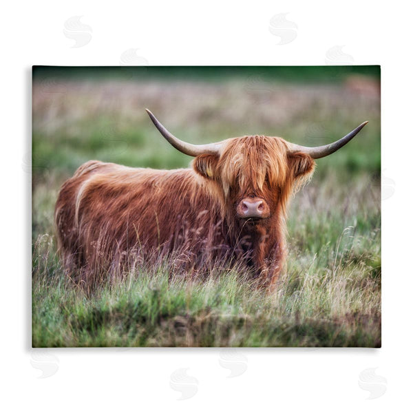 stupell industries James Dobson | Highland Longhorn Cattle Grazing Rural Countryside Grassland Wall Art