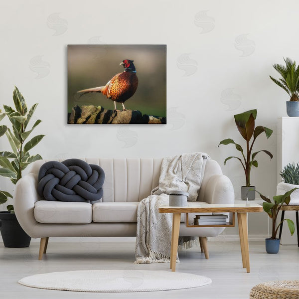 Stupell Industries James Dobson | Illuminated Pheasant Bird Standing Woodland Nature Scenery Wall Art