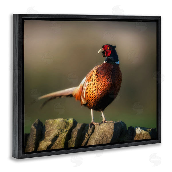 Stupell Industries James Dobson | Illuminated Pheasant Bird Standing Woodland Nature Scenery Wall Art