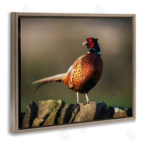 Stupell Industries James Dobson | Illuminated Pheasant Bird Standing Woodland Nature Scenery Wall Art