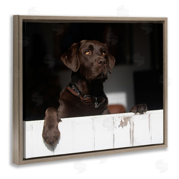 Stupell Industries James Dobson | Labrador Dog Overlooking Farm Leaning Barn Door Wall Art