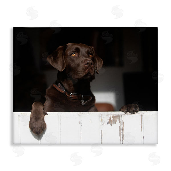 stupell industries James Dobson | Labrador Dog Overlooking Farm Leaning Barn Door Wall Art