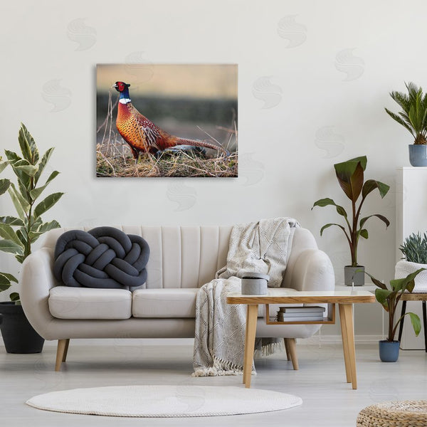 Stupell Industries James Dobson | Lone Pheasant Bird Grassy Forest Floor Wildlife Wall Art