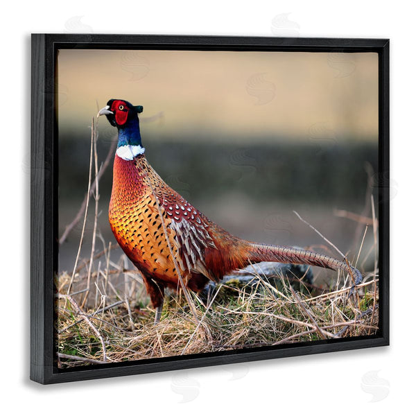 Stupell Industries James Dobson | Lone Pheasant Bird Grassy Forest Floor Wildlife Wall Art