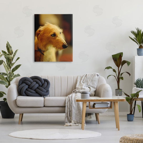 Stupell Industries James Dobson | Long Hair Terrier Dog Portrait Warm Lighting Photography Wall Art