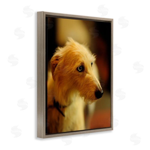 Stupell Industries James Dobson | Long Hair Terrier Dog Portrait Warm Lighting Photography Wall Art