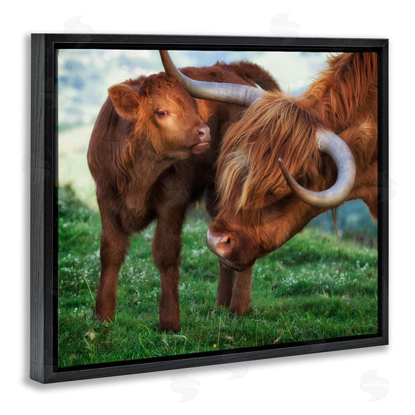 Stupell Industries James Dobson | Loving Longhorn Cattle Nuzzling Calf Heartwarming Animals Wall Art