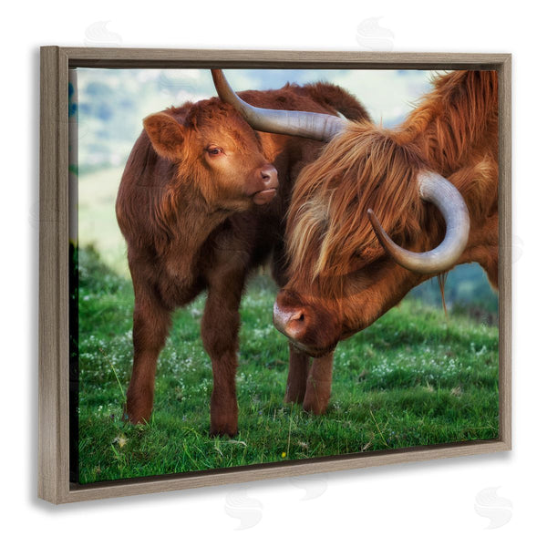 Stupell Industries James Dobson | Loving Longhorn Cattle Nuzzling Calf Heartwarming Animals Wall Art