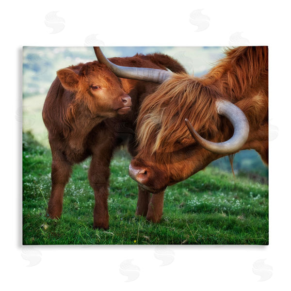 stupell industries James Dobson | Loving Longhorn Cattle Nuzzling Calf Heartwarming Animals Wall Art