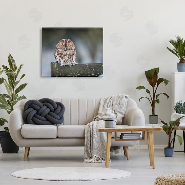 Stupell Industries James Dobson | Owl Perched Fence Post Wildlife Nature Photography Wall Art