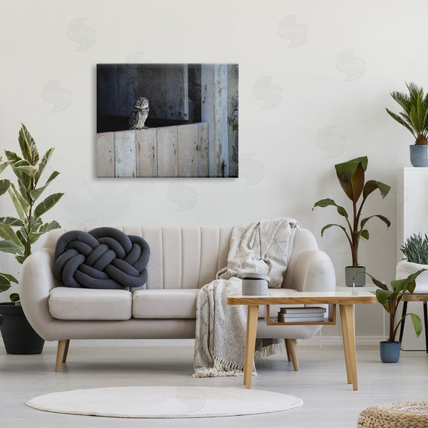 Stupell Industries James Dobson | Perched Owl Rural Barn Ledge Wildlife Photography Wall Art