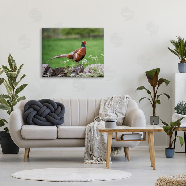 Stupell Industries James Dobson | Pheasant Strolling Lush Grassland Rural Nature Landscape Wall Art