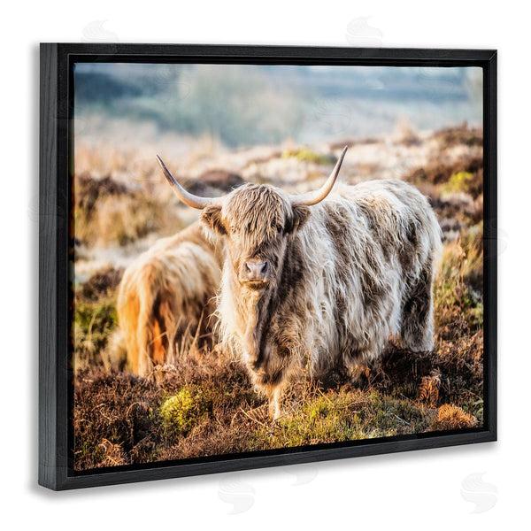 Stupell Industries James Dobson | Pleasant Highland Cattle Grazing Mossy Pasture At Dawn Wall Art