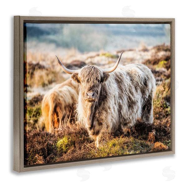 Stupell Industries James Dobson | Pleasant Highland Cattle Grazing Mossy Pasture At Dawn Wall Art