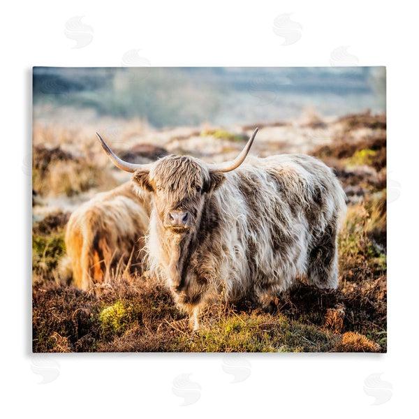 stupell industries James Dobson | Pleasant Highland Cattle Grazing Mossy Pasture At Dawn Wall Art