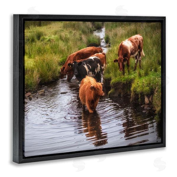 Stupell Industries James Dobson | Rural Cattle Enjoying Stream Water Between Grassland Wall Art