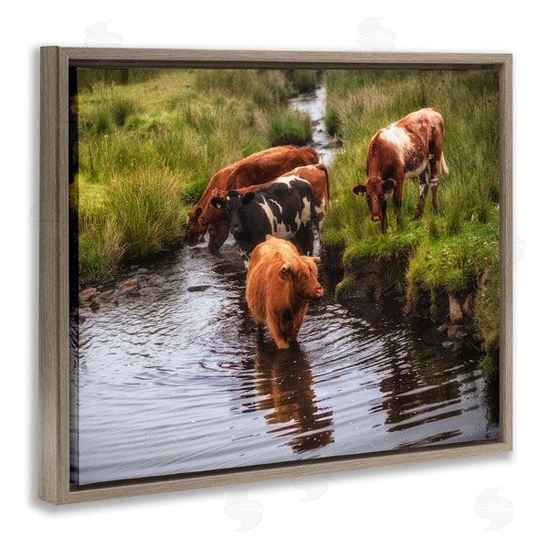 Stupell Industries James Dobson | Rural Cattle Enjoying Stream Water Between Grassland Wall Art
