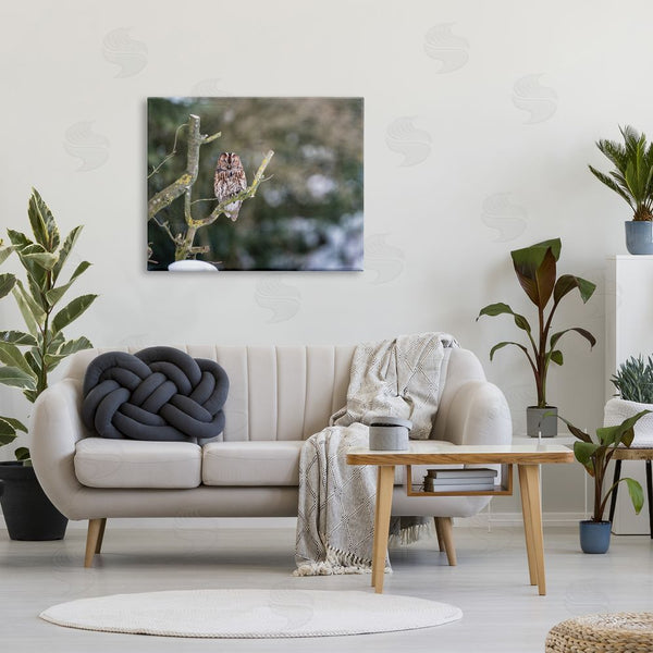 Stupell Industries James Dobson | Sleepy Owl Perched Snow Covered Nature Landscape Wall Art
