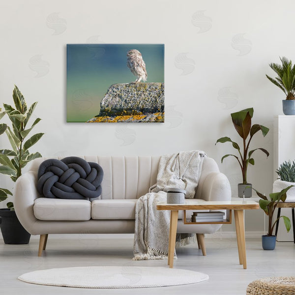 Stupell Industries James Dobson | Small Owl Gazing Thoughtfully Mossy Rock Scenery Wall Art