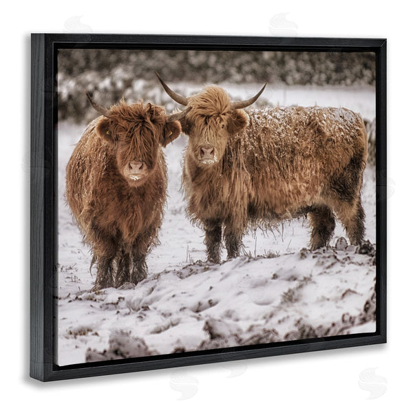 Stupell Industries James Dobson | Snow Dusted Highland Cattle Niveous Nature Landscape Wall Art