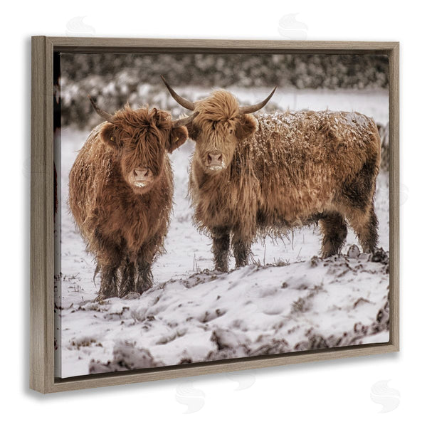 Stupell Industries James Dobson | Snow Dusted Highland Cattle Niveous Nature Landscape Wall Art