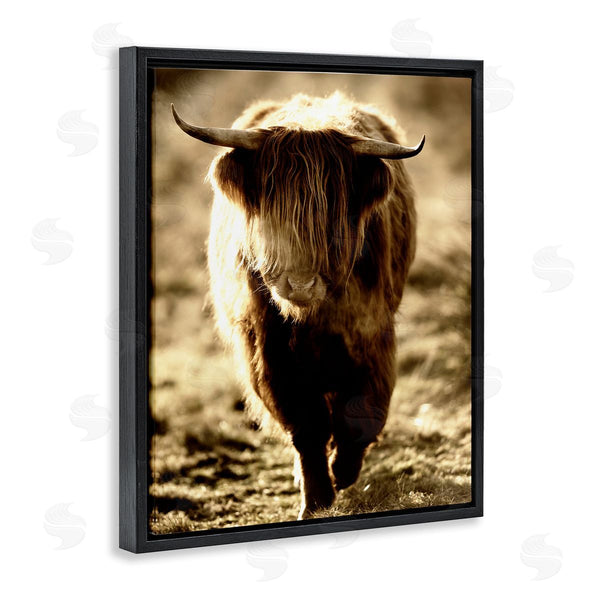 Stupell Industries James Dobson | Sunlit Highland Longhorn Cattle Wandering Rural Countryside Wall Art