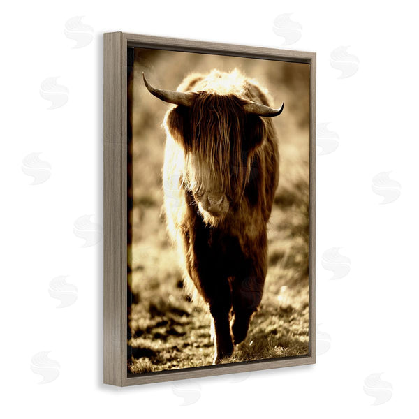 Stupell Industries James Dobson | Sunlit Highland Longhorn Cattle Wandering Rural Countryside Wall Art