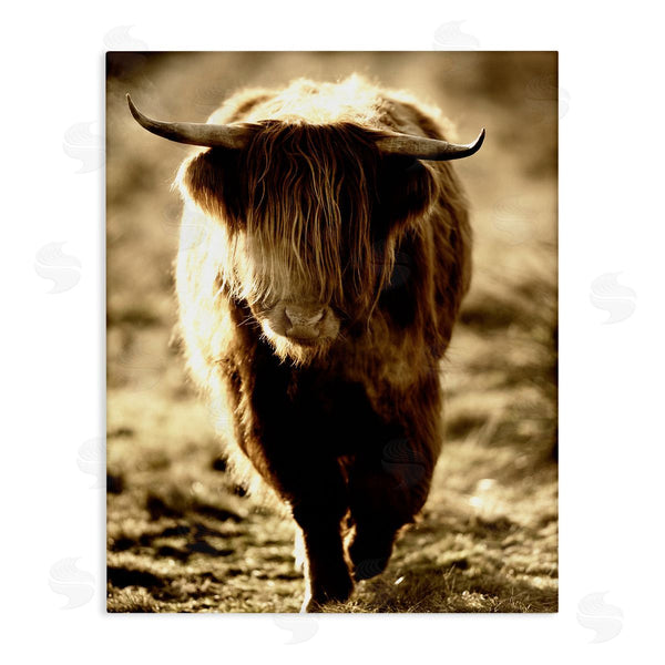stupell industries James Dobson | Sunlit Highland Longhorn Cattle Wandering Rural Countryside Wall Art