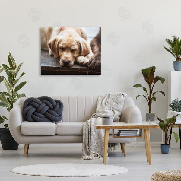 Stupell Industries James Dobson | Sweet Sleeping Dogs Resting Paws Animal Photography Wall Art