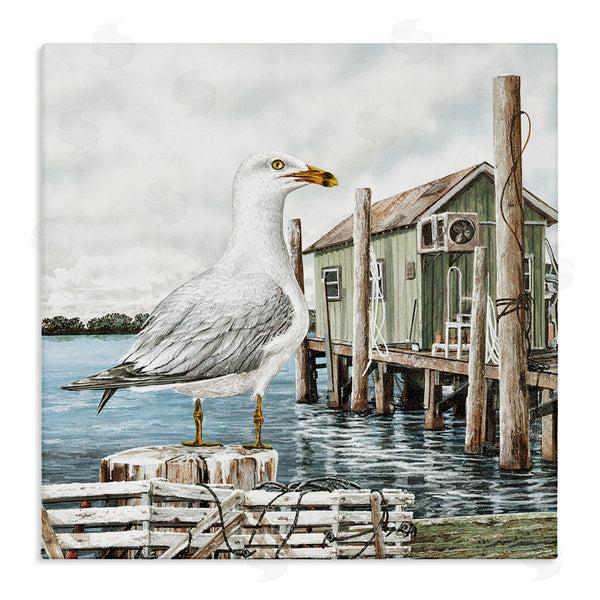 stupell industries James Harris | Coastal Seagull Perched Dock Marina Wall Art