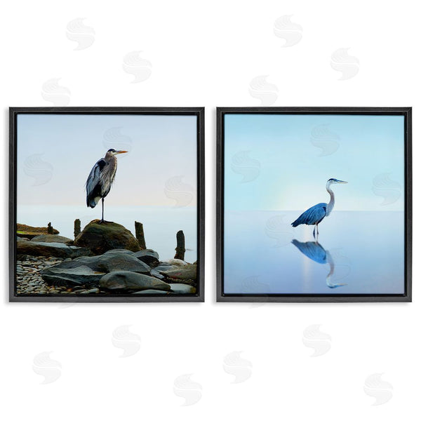 Stupell Industries James McLoughlin | Beach Heron Ocean Animal Photographs Wall Art