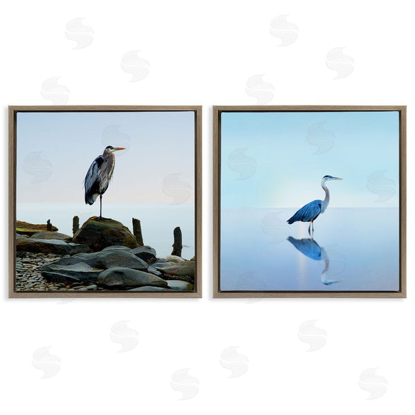 Stupell Industries James McLoughlin | Beach Heron Ocean Animal Photographs Wall Art