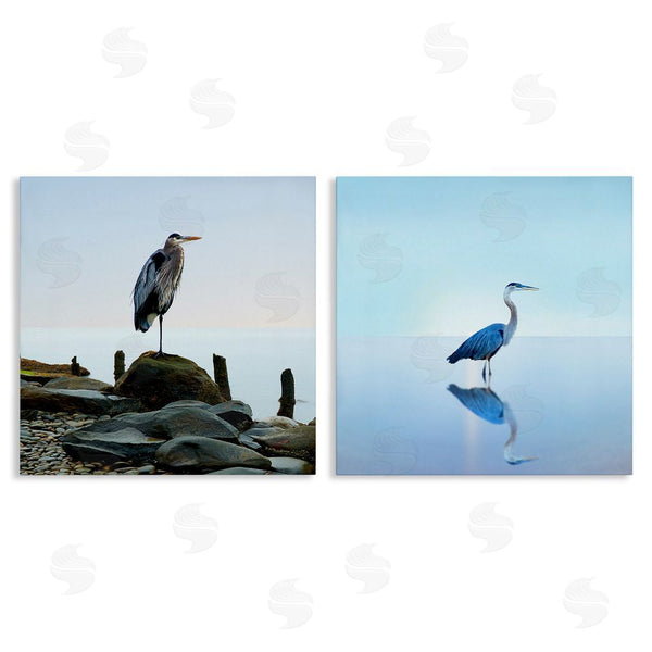 stupell industries James McLoughlin | Beach Heron Ocean Animal Photographs Wall Art