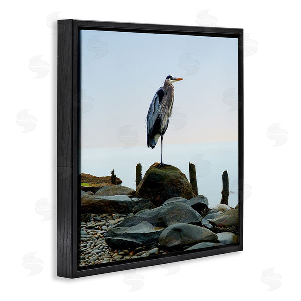 Stupell Industries James McLoughlin | Beach Heron Ocean Bird