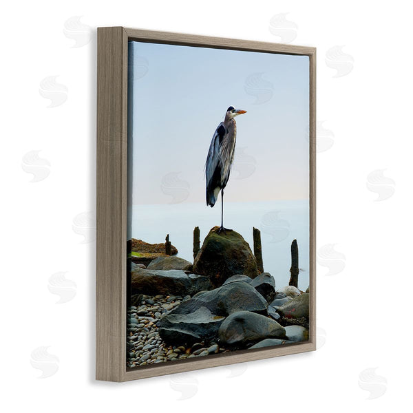 Stupell Industries James McLoughlin | Beach Heron Ocean Bird