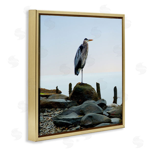 Stupell Industries James McLoughlin | Beach Heron Ocean Bird