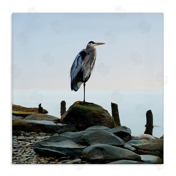 stupell industries James McLoughlin | Beach Heron Ocean Bird