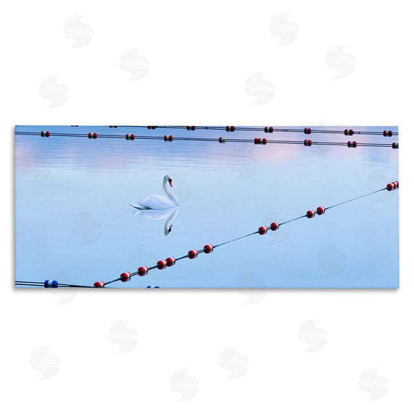 stupell industries James McLoughlin | Swan Between Lake Buoys Wall Art