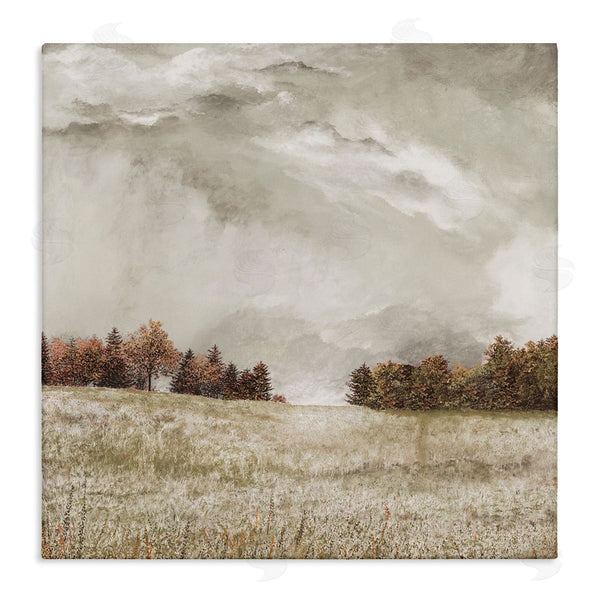 stupell industries James Redding | Rural Cloudy Countryside Meadow Wall Art