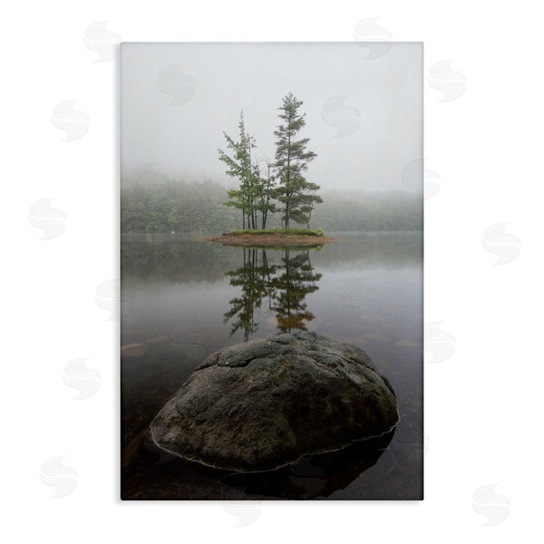 stupell industries James Rodewald | Duo Trees Lake Reflection Wall Art