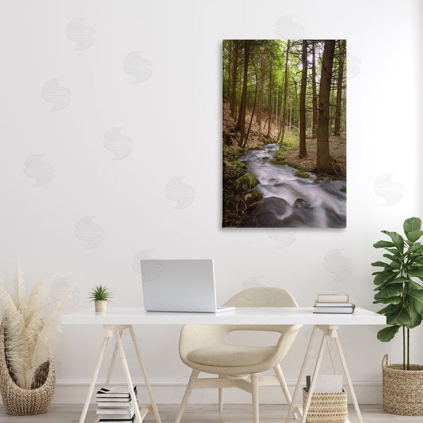 Stupell Industries James Rodewald | Mist In The Adirondacks Wall Art