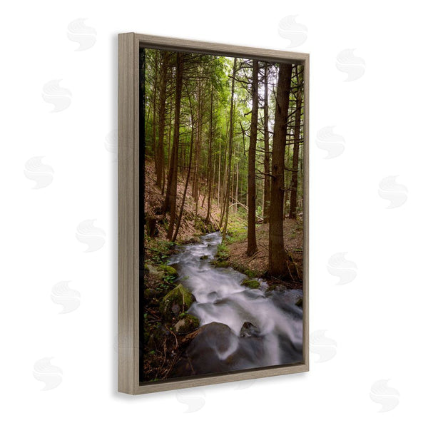 Stupell Industries James Rodewald | Mist In The Adirondacks Wall Art