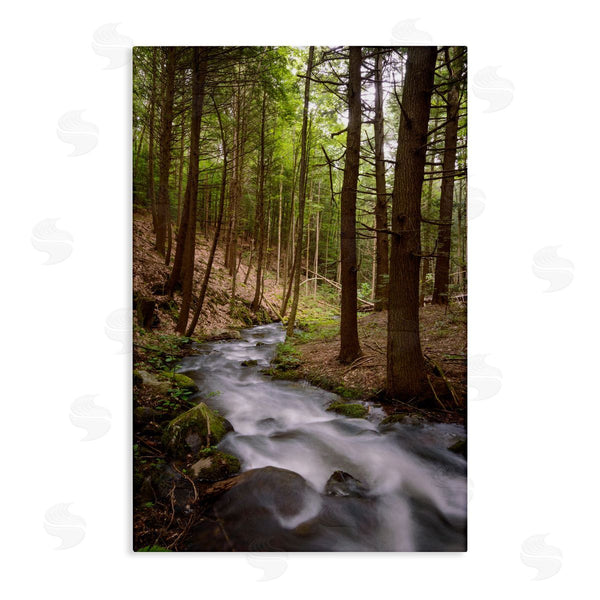 stupell industries James Rodewald | Mist In The Adirondacks Wall Art