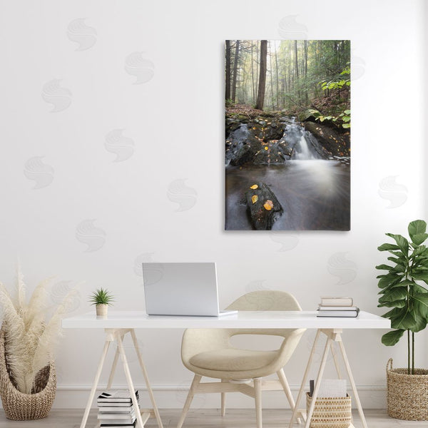 Stupell Industries James Rodewald | Misty Stream Adirondacks Wall Art